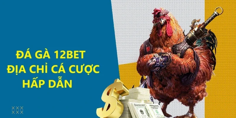 Đá gà 12Bet - Sân chơi đẳng cấp